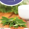 Horti tops zaden stevia, suikerplantje of honingkruid
