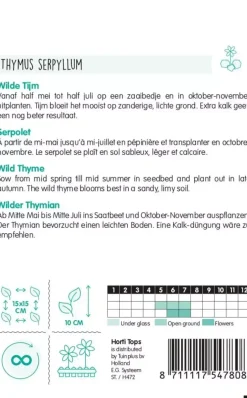 Horti tops zaden thymus, wilde tijm purperrood