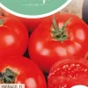 Horti tops zaden tomaten celebration