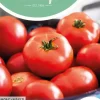 Horti tops zaden Tomaten moneymaker
