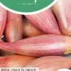 Horti tops zaden Uien Rossa lunga di Firenze