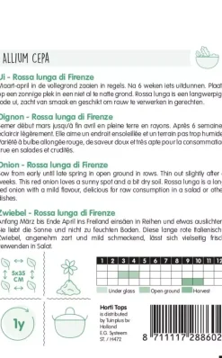 Horti tops zaden Uien Rossa lunga di Firenze