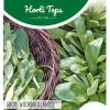 Horti tops zaden veldsla grote noordhollandse