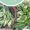 Horti tops zaden veldsla grote noordhollandse
