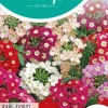 Horti tops zaden verbena, ijzerhard ideal florist gemengd
