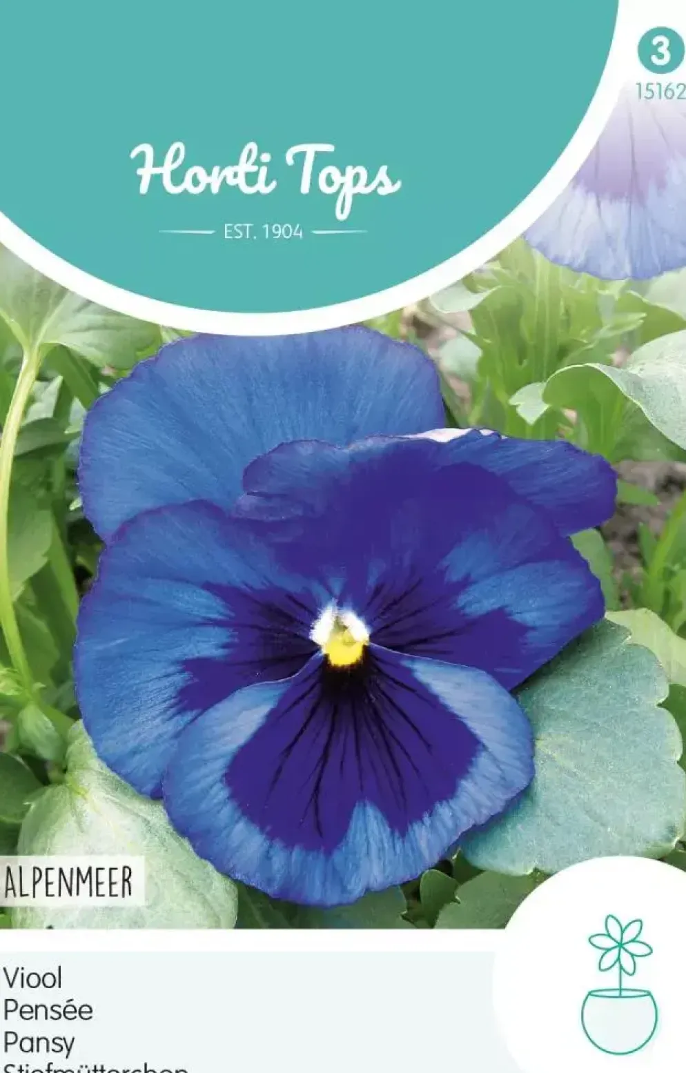 Horti tops zaden viola, viool alpenmeer