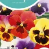 Horti tops zaden viola, viool aalsmeerse reuzen