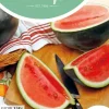 Horti tops zaden watermeloenen sugar baby