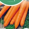 Horti tops zaden winterwortel bergen