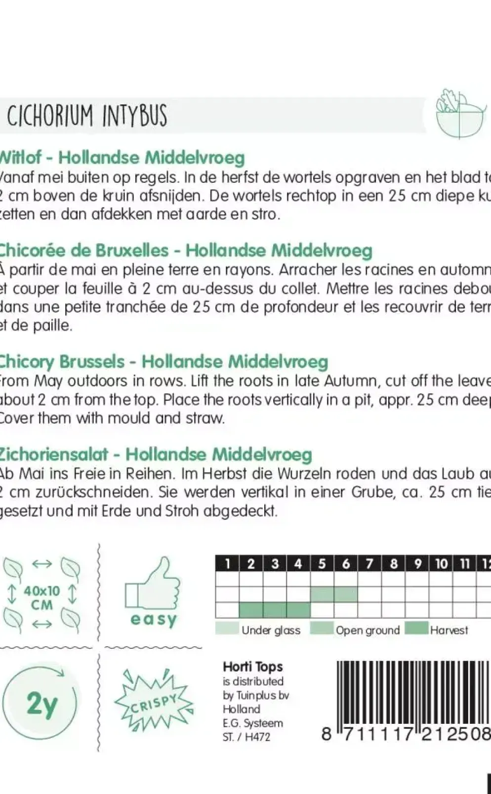 Horti tops zaden witlof hollandse middelvroeg