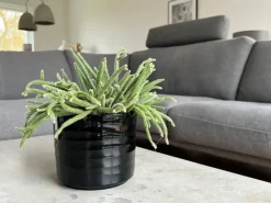HS Potterie Berlin bloempot keramiek 14.5x12cm zwart
