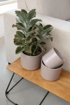 HS Potterie Berlin bloempot keramiek 10.5x8.5cm taupe