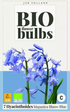Hyacinthoides hispanica blauw 7 bloembollen
