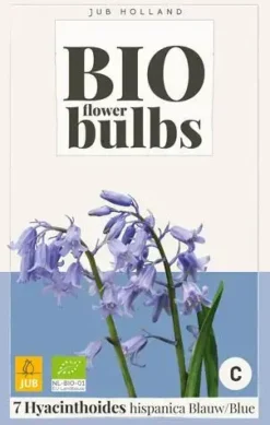 Hyacinthoides hispanica blauw 7 bloembollen