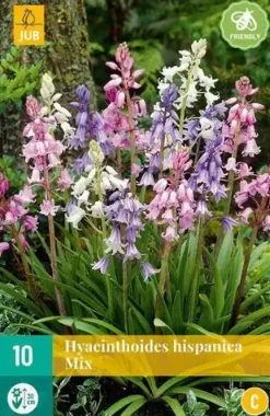 Hyacinthoides hispanica mix 10 stuks