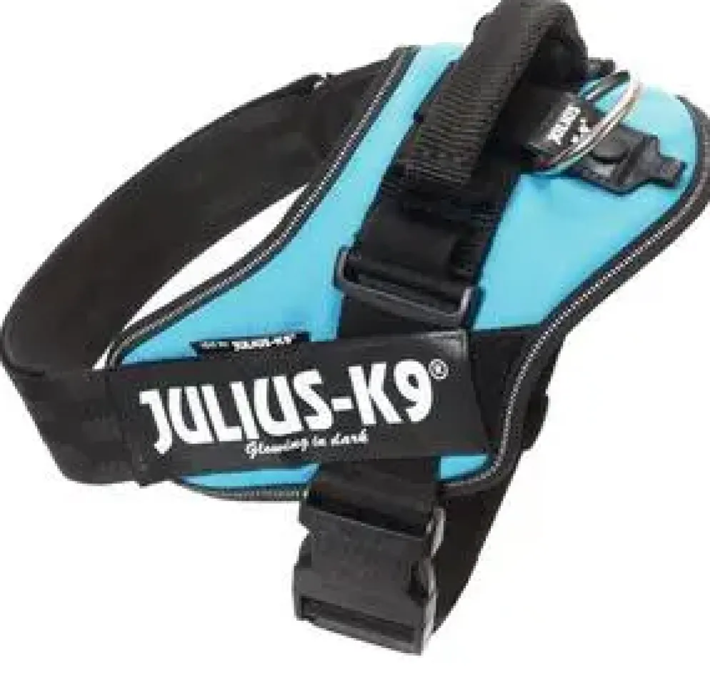Julius K9 hondentuig IDC nylon Maat 1 63-85cm max 23-30kg aqua