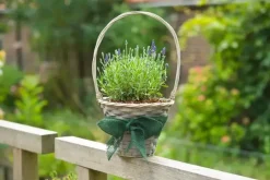 Juteband groen 10cml25m