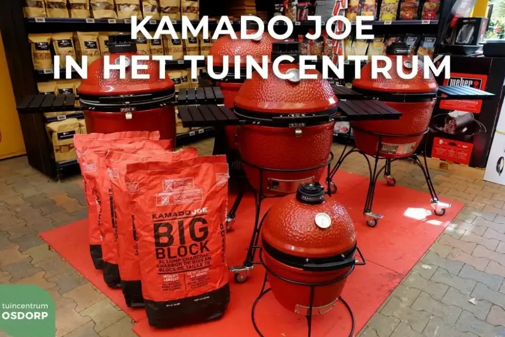 Kamado Joe Pizza stone (big joe)