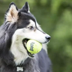 Kong air squeakair tennis ball+touw m