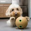 Kong hond Bamboo feeder ball, medium.