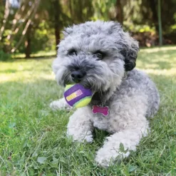 Kong hond Crunchair tennisbal, medium net a 3 stuks.
