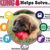 Kong hond Extreme rubber “M”, zwart