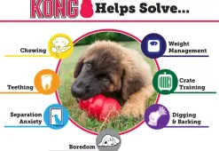 Kong hond Extreme rubber “S”, zwart