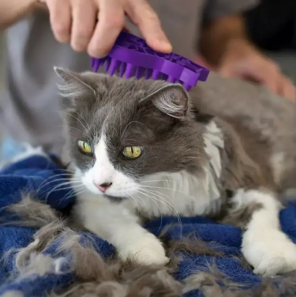 Kong kat Zoom Groom rubber kattenborstel.