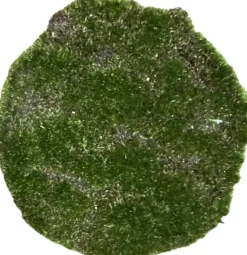 Kunstplant mos 25cm groen