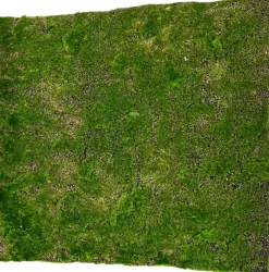 Kunstplant mos 50cm groen