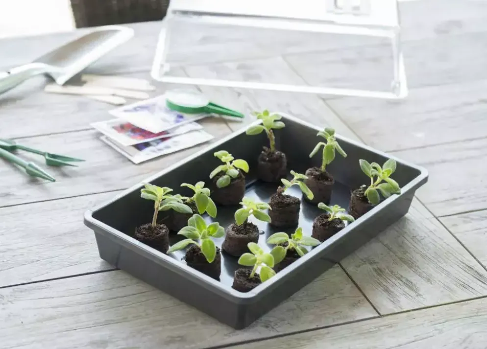 Kweekbak antraciet 37.5h24cm