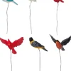 Lemax assorted birds, s/6 kerstdorp accessoire 2008