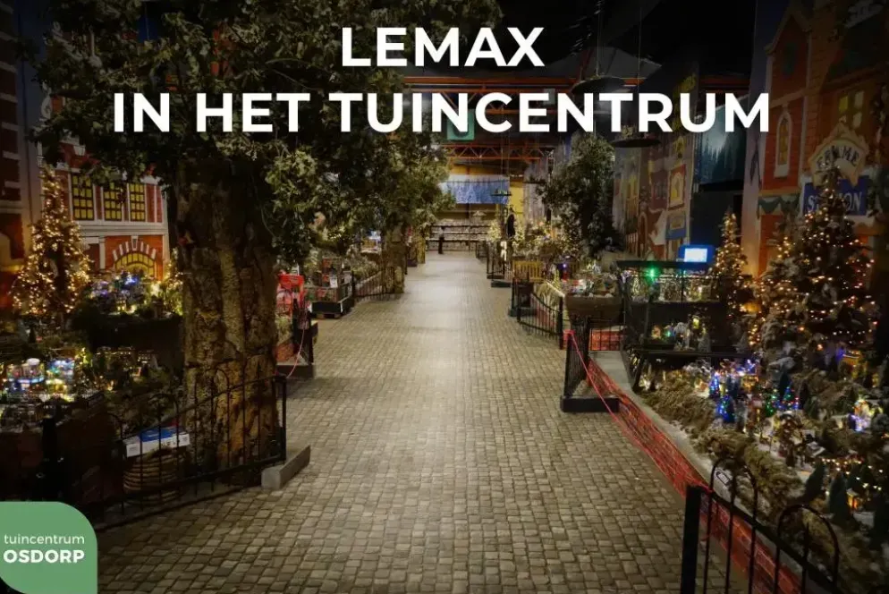 Lemax bike ride date s/2 kerstdorp figuur type 4 2019