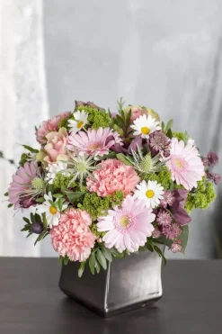 Leucanthemum vulgare (Gewone Martgriet)