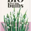 Leucojum Gravetye Giant 3 stuks biologisch geteeld