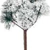 Luville General Mountain pine