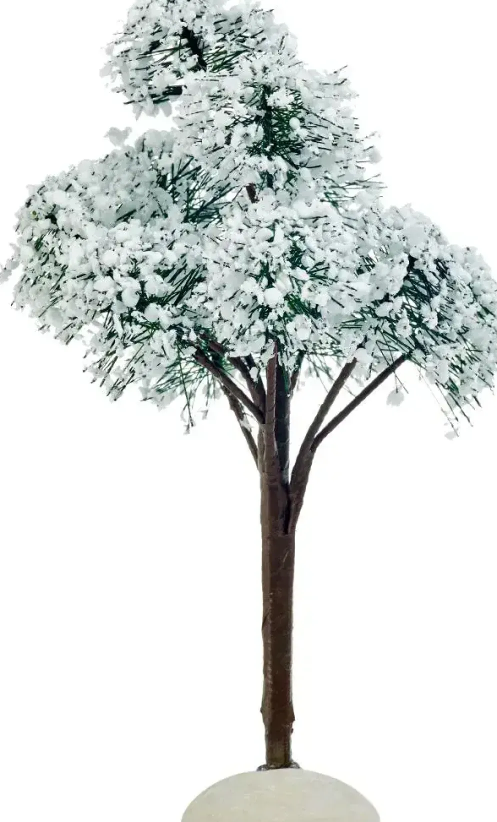 Luville General Mountain pine