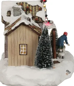 Luville Schneewald Schneewald Sint bernards home