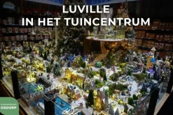 Luville Sinterklaas, Vader met hulp pietje