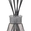 Maison Berger Paris parfumverspreider pyramid rosé orange cinnamon 200 ml