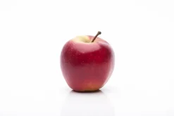 Malus domestica 'Elstar' (Appel) fruitplant 160cm