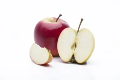 Malus domestica 'Elstar' (Appel) fruitplant 160cm