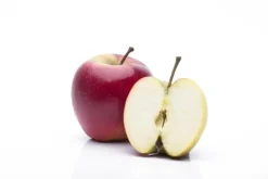 Malus domestica 'Elstar' (Appel) fruitplant 160cm