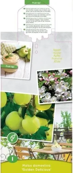 Malus domestica 'Golden Delicious' (Appel) fruitplant 90cm