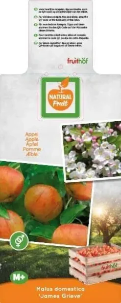 Malus domestica 'James Grieve' (Appel) fruitplant 230cm