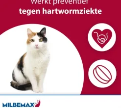 Milbemax Grote Kat – Ontwormingstabletten (2 stuks)