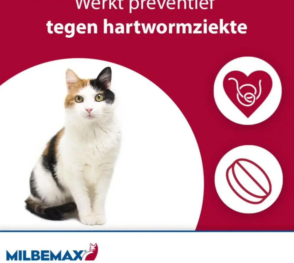 Milbemax Grote Kat – Ontwormingstabletten (2 stuks)