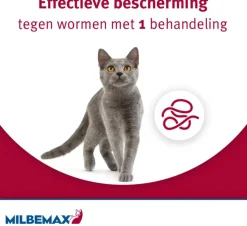 Milbemax Grote Kat – Ontwormingstabletten (2 stuks)