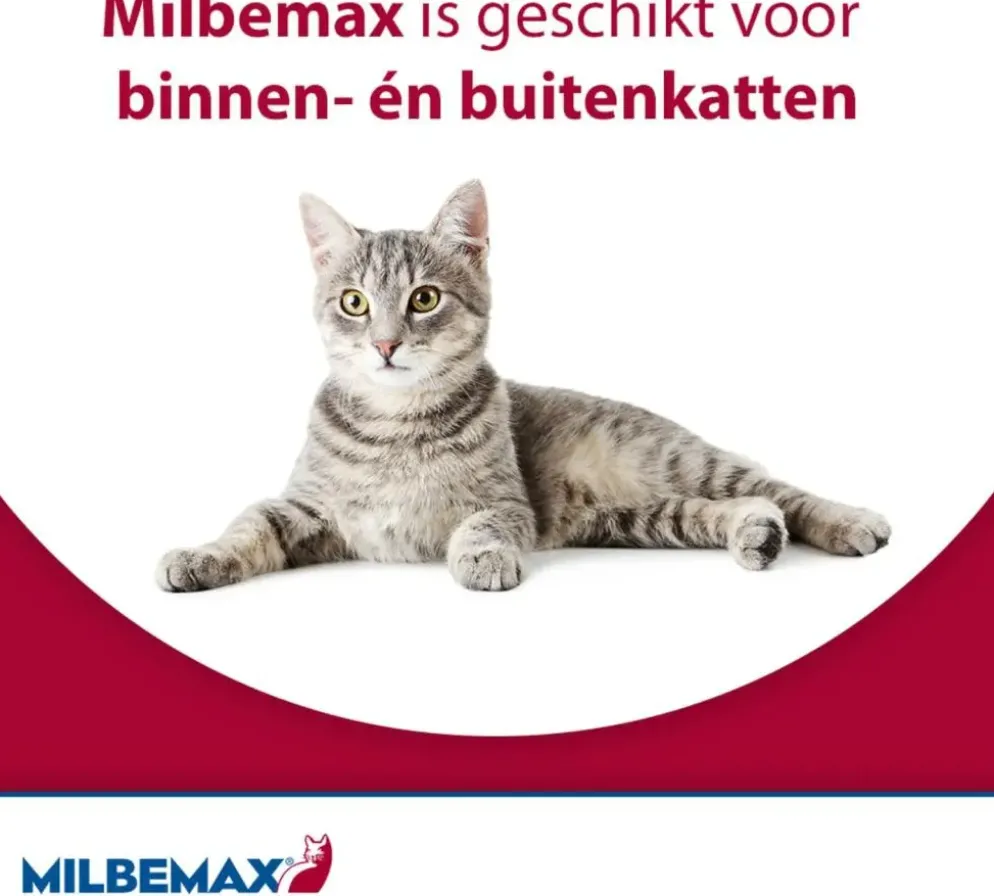 Milbemax Grote Kat – Ontwormingstabletten (2 stuks)