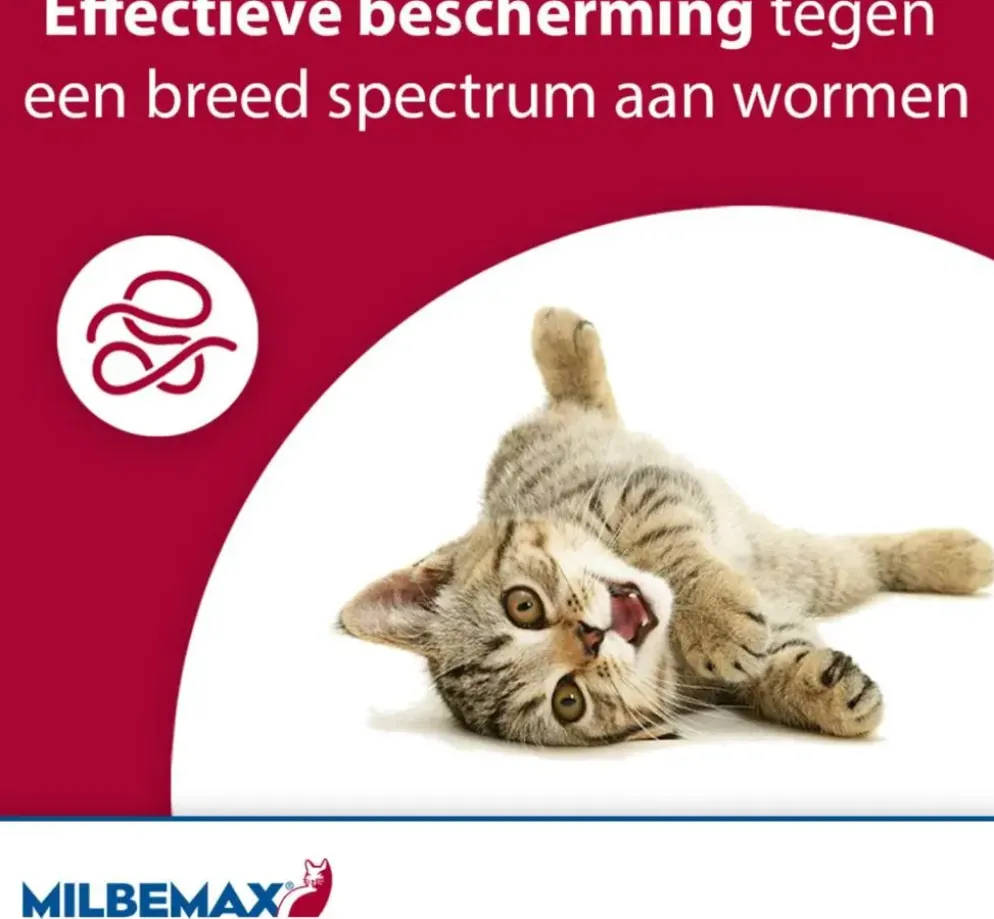 Milbemax Grote Kat – Ontwormingstabletten (2 stuks)